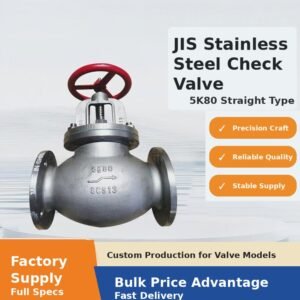 JIS 5K F7319  Marine Seawater Check Valve for marine piping system