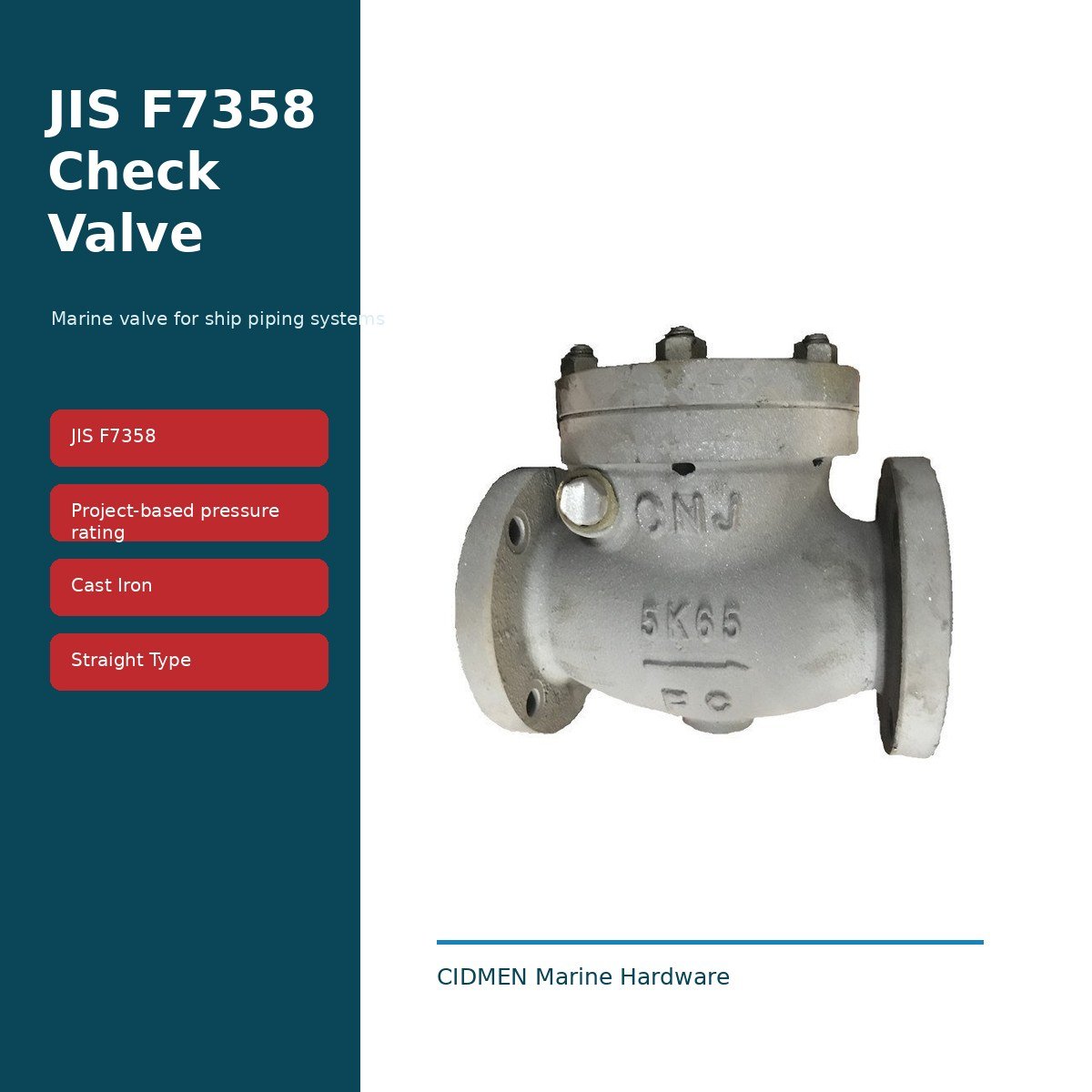 877-Check-Valve-New-Overview