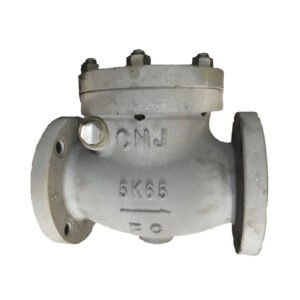 JIS F7358 Marine Cast Iron Straight Lift Check Valve for marine piping system
