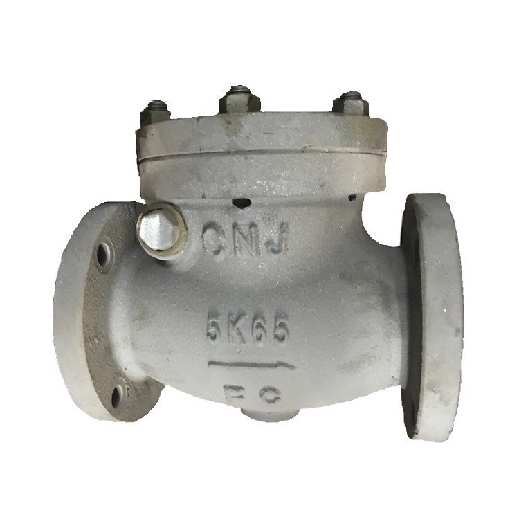 JIS F7358 Marine Cast Iron Straight Lift Check Valve for marine piping system