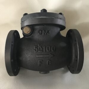 JIS F7372 Marine Cast Iron Swing Check Valve 5K for marine piping system