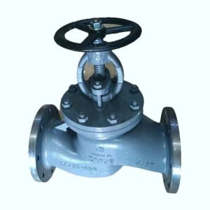 Marine Cast Steel Flanged Globe Valve / Check Valve for marine piping system