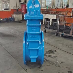 DIN Marine Cast Iron Gate Valve 10K for marine piping system