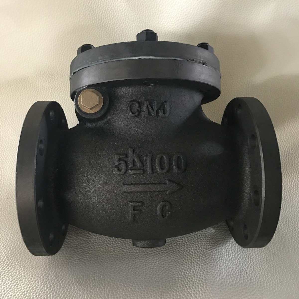 JIS F7372 Marine Cast Iron Swing Check Valve 5K for marine piping system