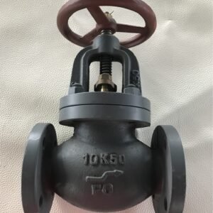 JIS F7375 Marine Cast Iron Globe Check Valve 10K for marine piping system