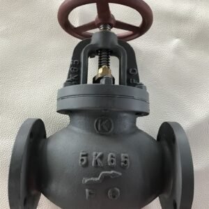 JIS F7353 Marine Cast Iron Straight Globe Check Valve 5K for marine piping system