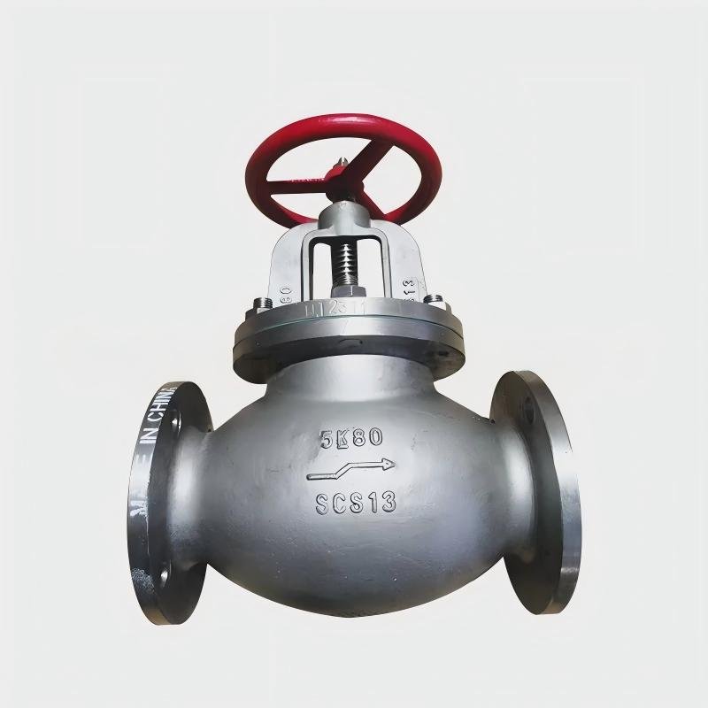 JIS 5K F7319 Marine Seawater Check Valve for marine piping system