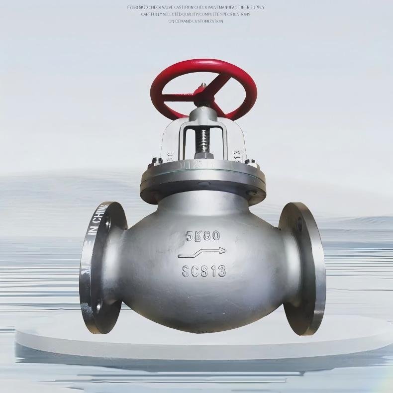 JIS 5K F7319 Marine Seawater Check Valve for marine piping system